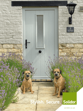 The solidor front cover